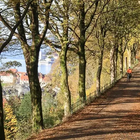 Rose I 1890 - 2024 Reno I 15 Min To Bryggen Feriehus Bergen